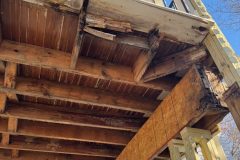 IMG_5868-rotated